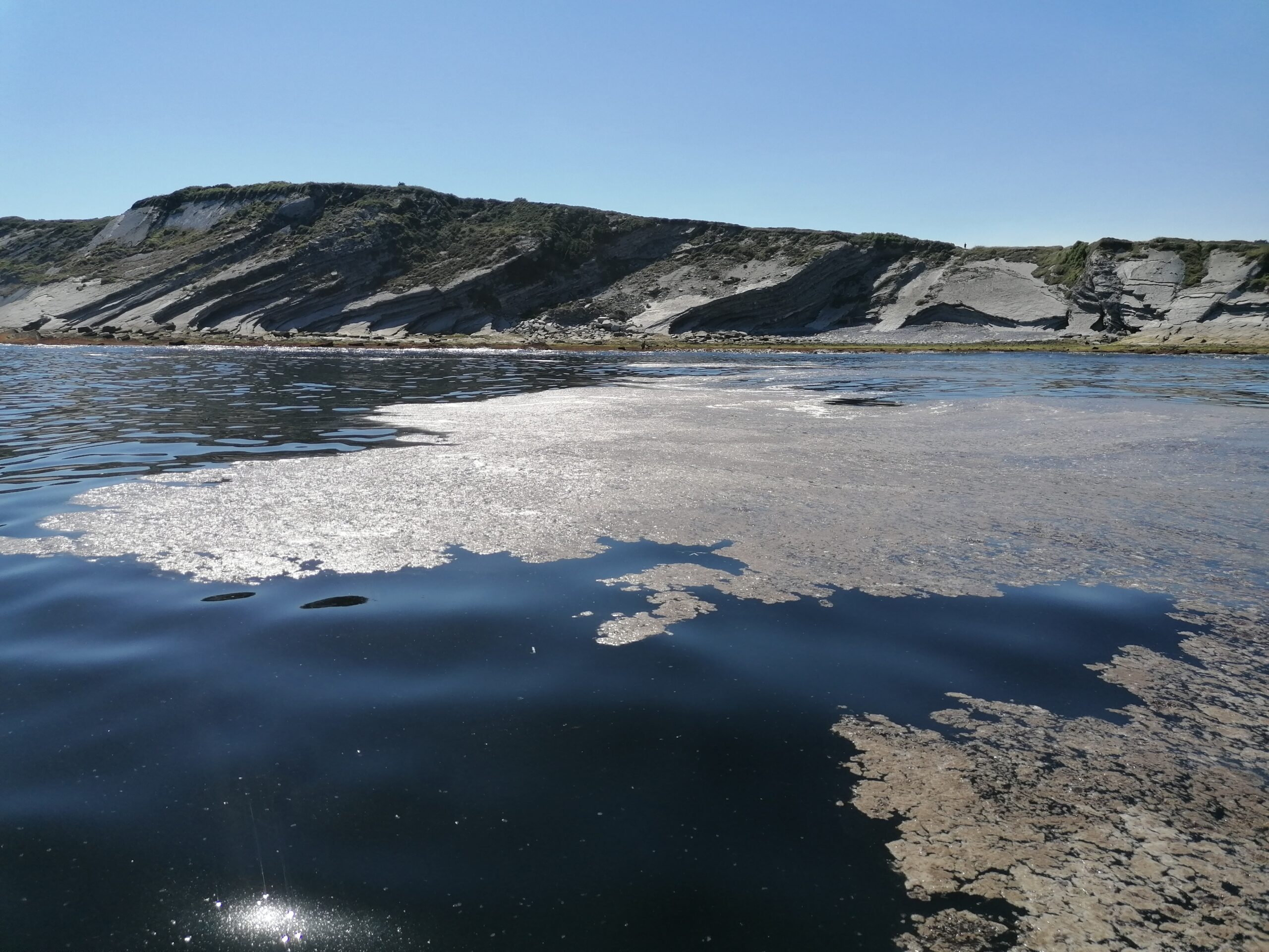 OSTREOBILA : un projet pour suivre, étudier et comprendre les impacts d’Ostreopsis sur le littoral basque